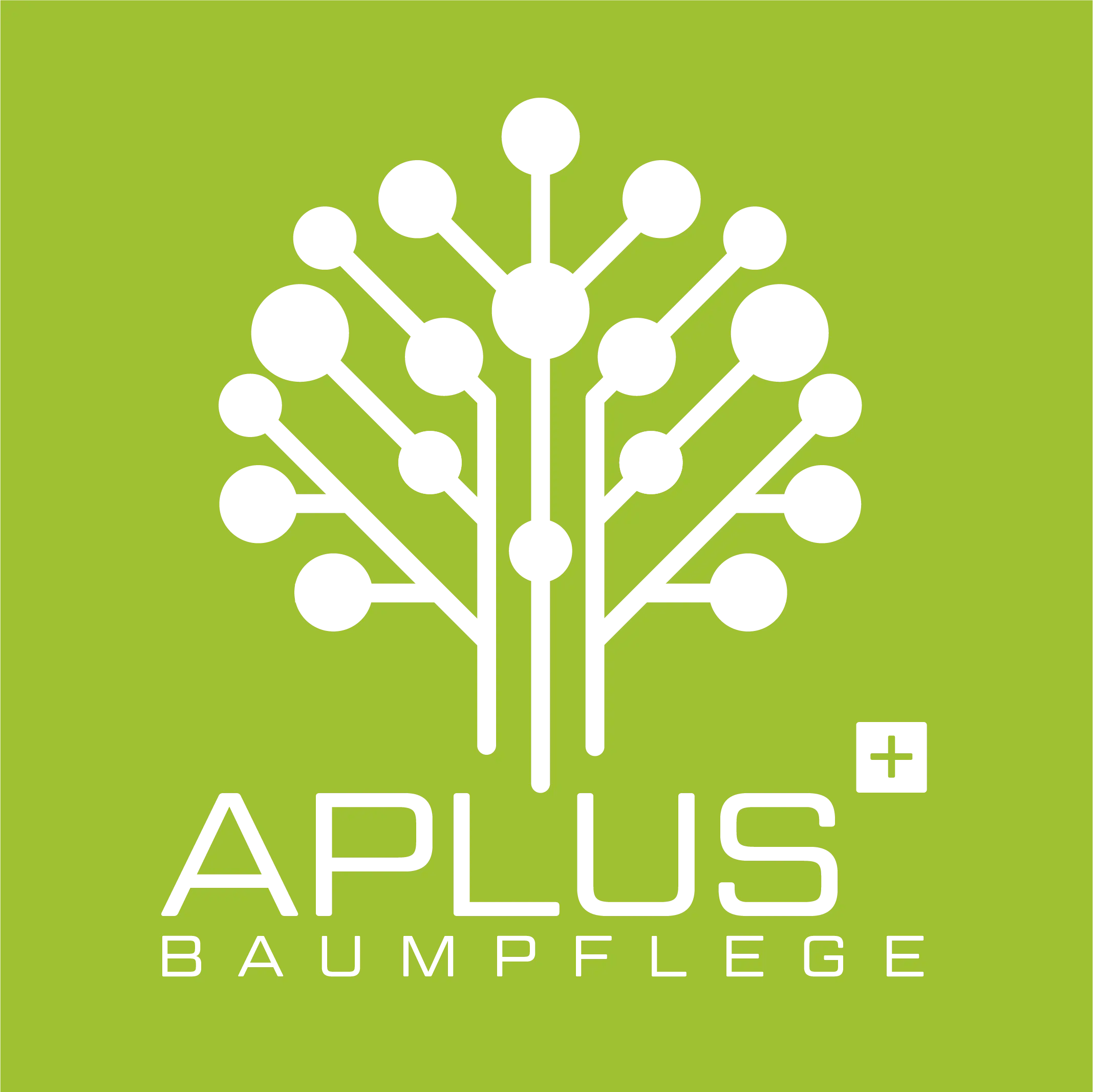 Aplus Baumpflegedienst in Berlin und Brandenburg
